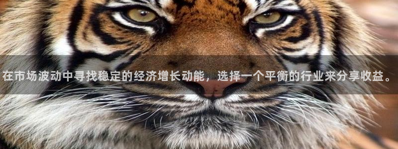 壹号电子娱乐app下载最新版：在市场波动中寻找稳定的经济增长动能，选择一个平衡的行业来分享收益。