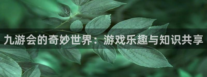 摩臣5平台加拿大：九游会的奇妙世界：游戏乐趣与知识共享