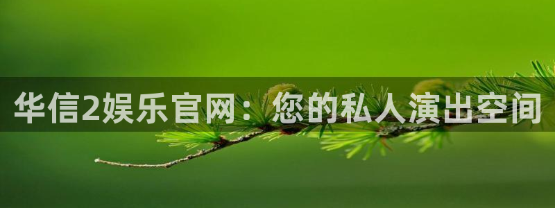 壹号大舞台下载：华信2娱乐官网：您的私人演出空间