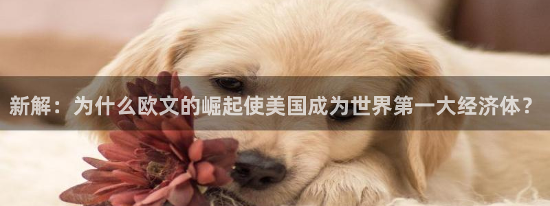 摩臣5平台加拿大在线预测：新解：为什么欧文的崛起使美国成为世界第一大经济体？