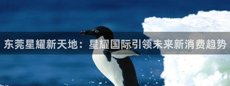 摩臣5平台账号注册：东莞星耀新天地：星耀国际引领未来新消费趋势