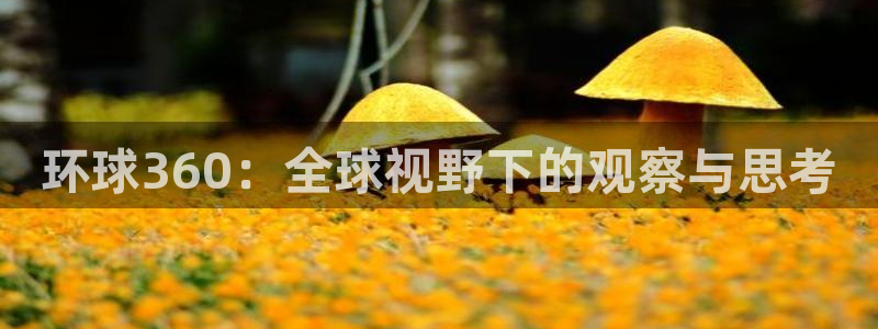 摩臣5平台是什么：环球360：全球视野下的观察与思考