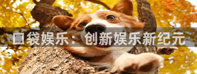 摩臣5平台com