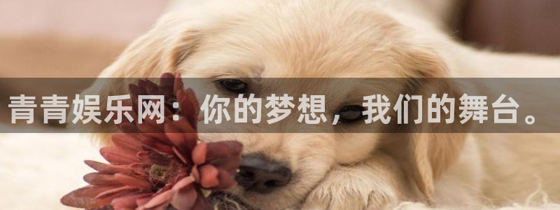 摩臣5平台app下载：青青娱乐网：你的梦想，我们的舞台。