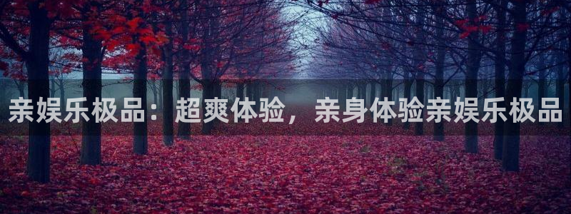 摩臣5平台app最新版：亲娱乐极品：超爽体验，亲身体验亲娱乐极品