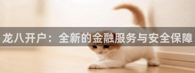 壹号app下载：龙八开户：全新的金融服务与安全保障