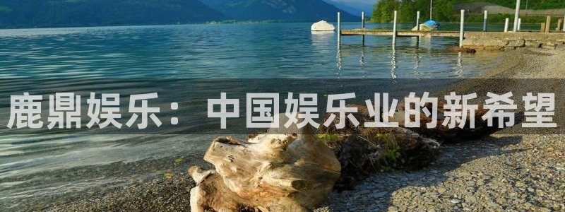 摩臣5平台平台管网入口：鹿鼎娱乐：中国娱乐业的新希望