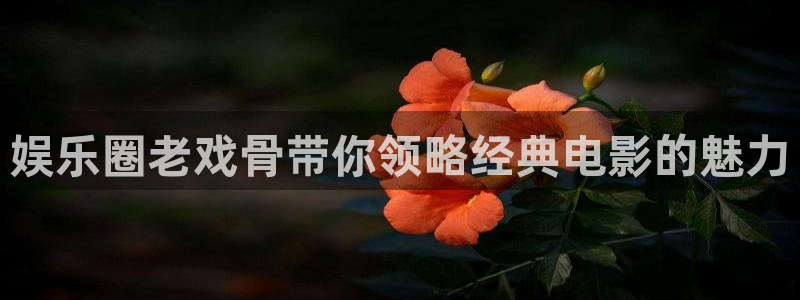 摩臣5平台平台登录：娱乐圈老戏骨带你领略经典电影的魅力