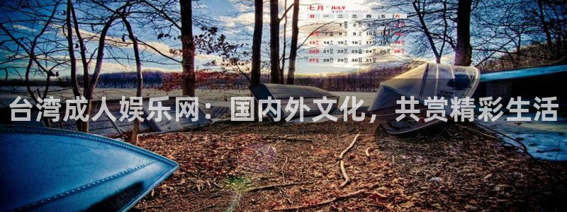 摩臣5平台链接：台湾成人娱乐网：国内外文化，共赏精彩生活