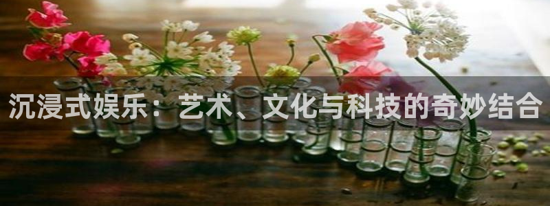 摩臣5平台下载地址：沉浸式娱乐：艺术、文化与科技的奇妙结合
