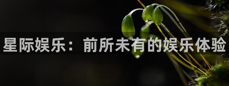 摩臣5平台注册入口与教程：星际娱乐：前所未有的娱乐体验