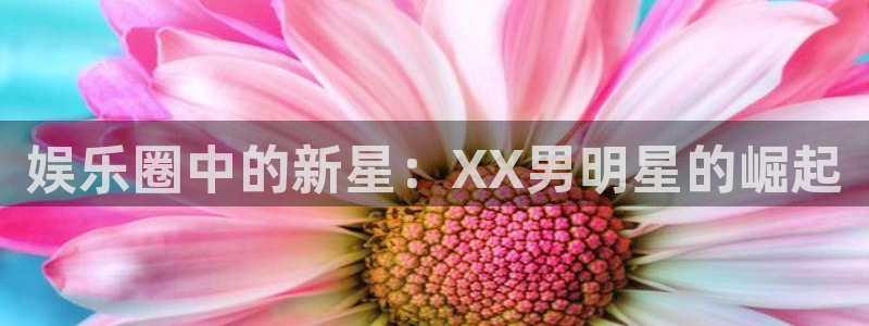 摩臣5平台平台官方入口下载：娱乐圈中的新星：XX男明星的崛起