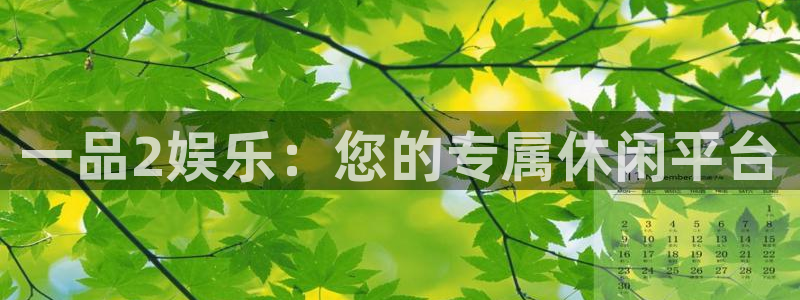 摩臣5平台下载：一品2娱乐：您的专属休闲平台