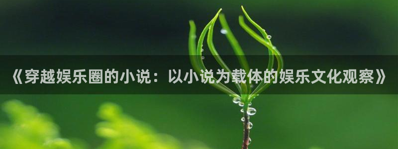 摩臣5平台电子游戏：《穿越娱乐圈的小说：以小说为载体的娱乐文化观察》