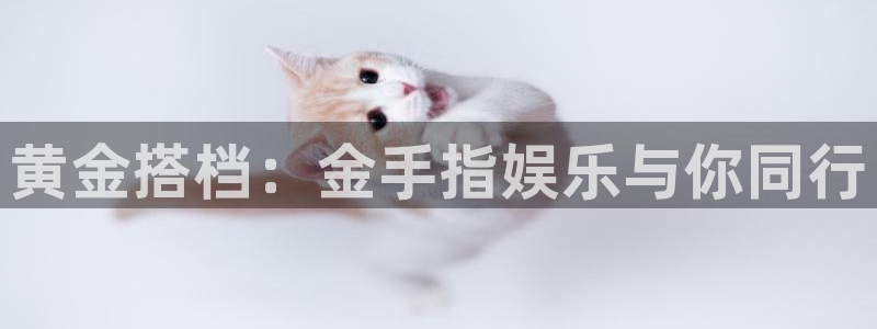 摩臣5平台ccm麻将胡了：黄金搭档：金手指娱乐与你同行