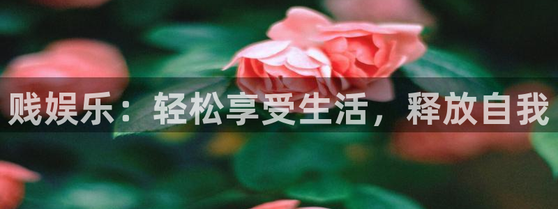 壹号大舞台：贱娱乐：轻松享受生活，释放自我