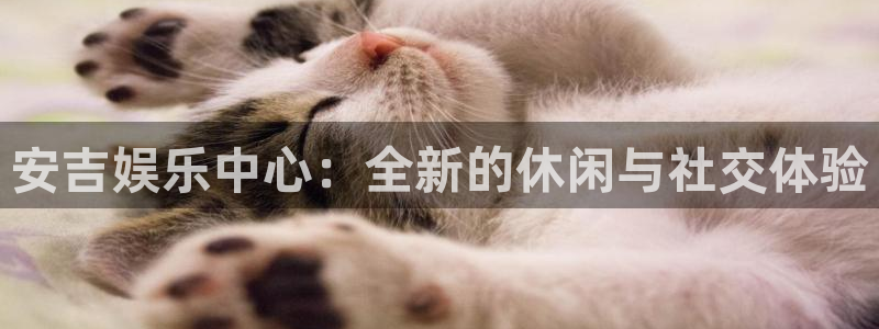 壹号平台注册链接官网下载：安吉娱乐中心：全新的休闲与社交体验