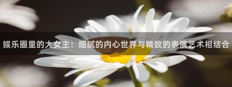 摩臣5平台app下载安装：娱乐圈里的大女主：细腻的内心世界与精致的表演艺术相结合