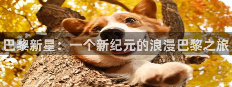 摩臣5平台平台最新版本下载：巴黎新星：一个新纪元的浪漫巴黎之旅