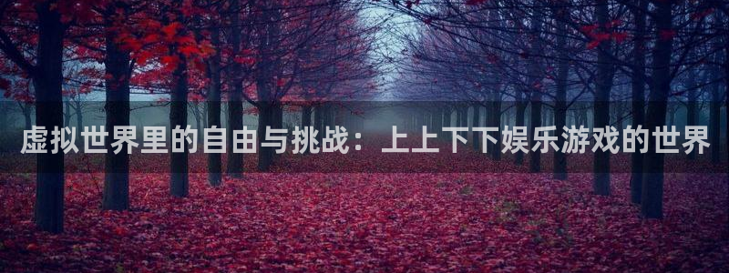 壹号大舞台：虚拟世界里的自由与挑战：上上下下娱乐游戏的世界