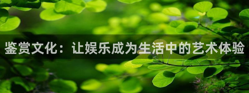 壹号电子娱乐app下载最新版本：鉴赏文化：让娱乐成为生活中的艺术体验
