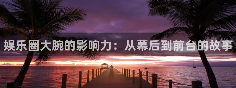 摩臣5平台pg电子游戏在线玩：娱乐圈大腕的影响力：从幕后到前台的故事