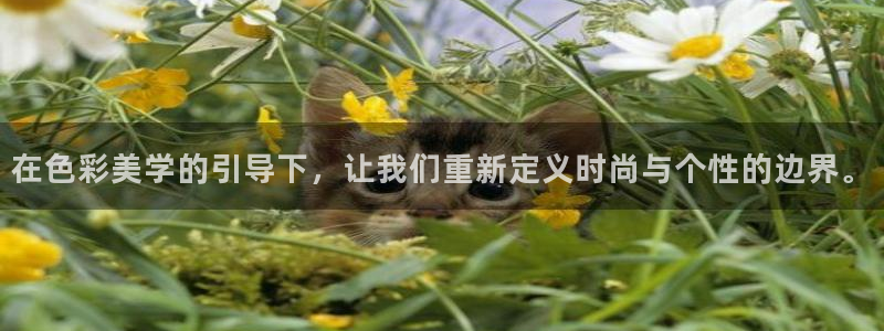 摩臣5平台加拿大：在色彩美学的引导下，让我们重新定义时尚与个性的边界。