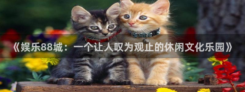 壹号app下载官网娱乐：《娱乐88城：一个让人叹为观止的休闲文化乐园》