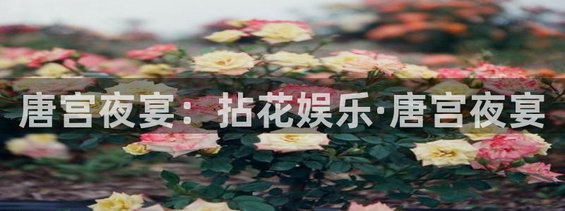 摩臣5平台的平台：唐宫夜宴：拈花娱乐·唐宫夜宴