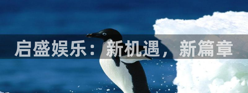 摩臣5平台下载：启盛娱乐：新机遇，新篇章