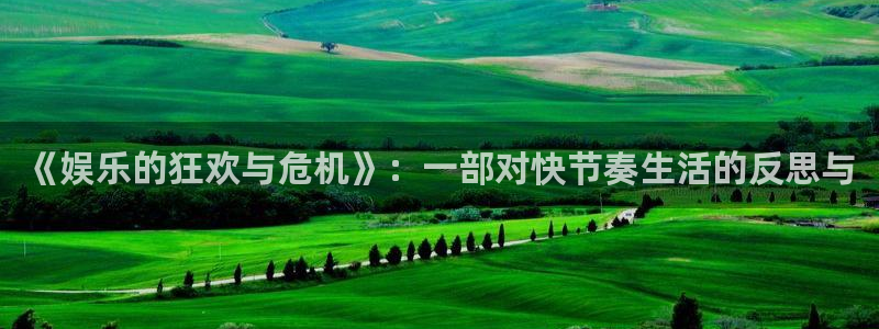 摩臣5平台游戏：《娱乐的狂欢与危机》：一部对快节奏生活的反思与