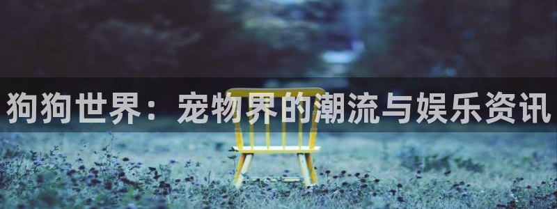 南宫摩臣5平台：狗狗世界：宠物界的潮流与娱乐资讯