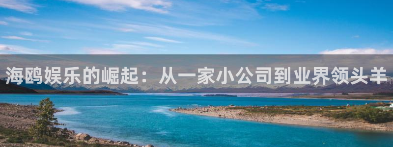 摩臣5平台加拿大官网：海鸥娱乐的崛起：从一家小公司到业界领头羊