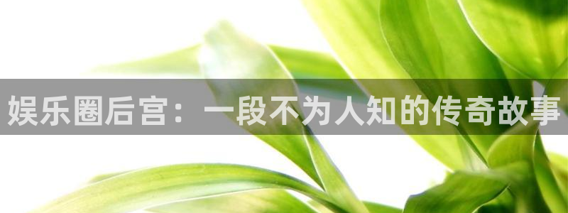 壹号app官方登录入口下载：娱乐圈后宫：一段不为人知的传奇故事