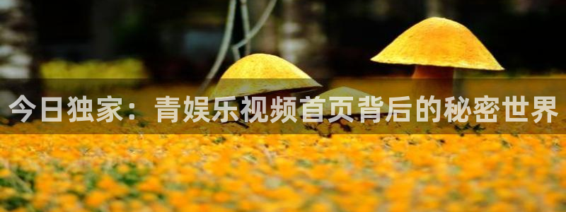 摩臣5平台平台官网版最新：今日独家：青娱乐视频首页背后的秘密世界