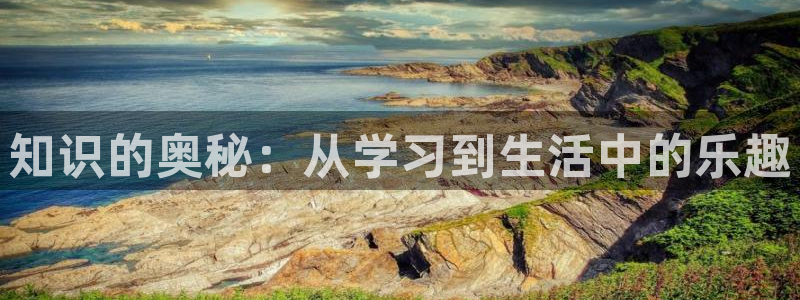 摩臣5平台游戏：知识的奥秘：从学习到生活中的乐趣