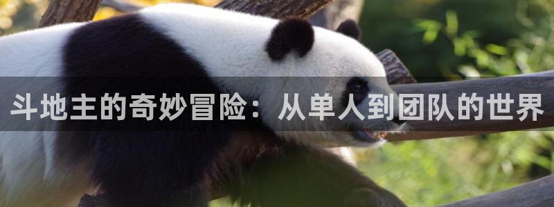 摩臣5平台app：斗地主的奇妙冒险：从单人到团队的世界