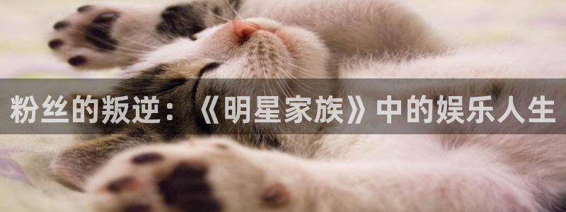 摩臣5平台网站平台登录：粉丝的叛逆：《明星家族》中的娱乐人生