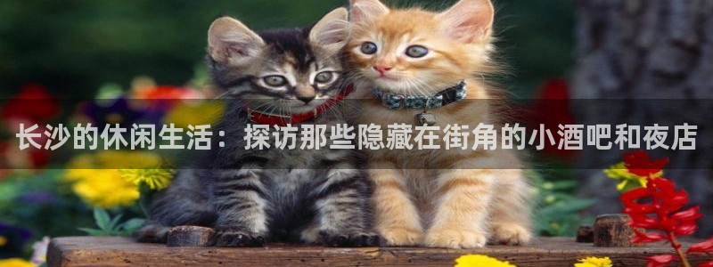 壹号大舞台娱乐传媒：长沙的休闲生活：探访那些隐藏在街角的小酒吧和夜店